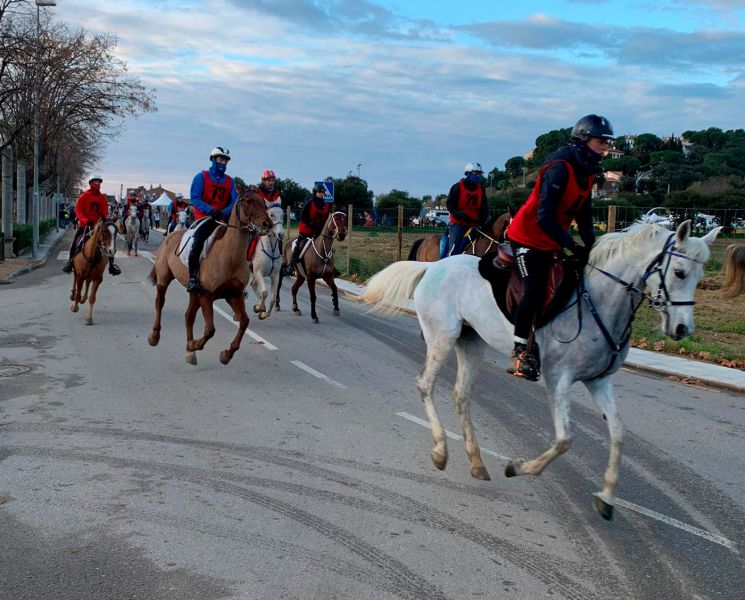 Der International Equestrian Raid übertrifft die Teilnehmerzahl des Jahres 2018 bei weitem